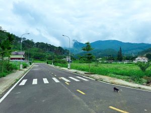 Đường nhựa 12m có vỉa hè và đèn đường tại Đà Lạt Pine Forest