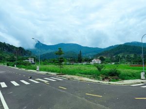 Tầm nhìn hướng núi Voi từ Đà Lạt Pine Forest