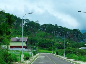 Đường nội bộ bên rừng thông tại Đà Lạt Pine Forest