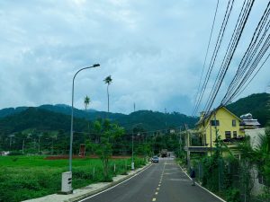 Hạ tầng điện âm và đèn đường tại Đà Lạt Pine Forest