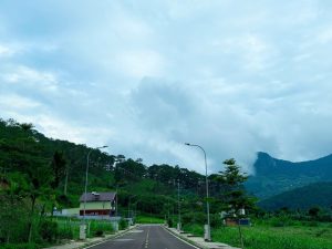 Cảnh quan hướng núi Voi tại Đà Lạt Pine Forest