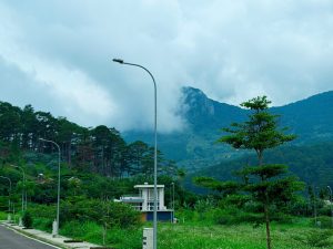 Cảnh quan dự án Đà Lạt Pine Forest